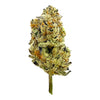 YUMZ - AAA EXOTICS - ANCHOVY PIZZA - THCA FLOWER - 30.00%