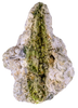 ICED | Frosted THCA Flower | 3.5 Grams