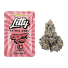 Litty - Cherry Pie - THCA Flower - 1 Gram Sample Code