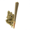 Moby Dick - THC-A Flower ( Sativa )