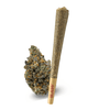 Quantum Kush - THC-A Flower ( Sativa )