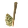 Tangie - THCA Flower ( Sativa )