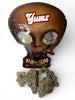 YUMZ - AAA EXOTICS - ALIEN HEAD - THCA FLOWER - 30.67%