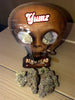 YUMZ - AAA EXOTICS - ALIEN HEAD - THCA FLOWER - 30.67%