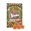 YUMZ - Mango ( Mushroom Gummies ) ( Free Gift )
