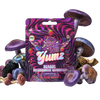 YUMZ - Mixed Berry ( Mushroom Gummies )