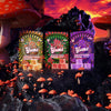 YUMZ - Mushroom Gummies ( Bundle )